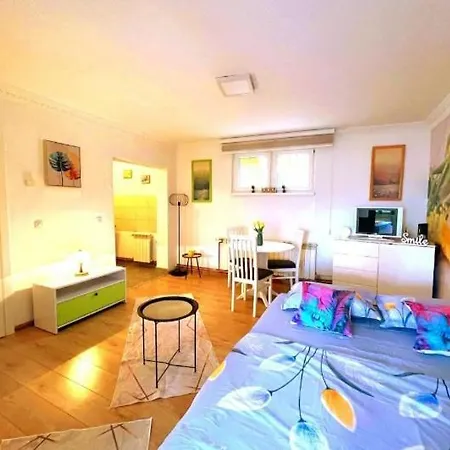 Dzan Free Parking Apartment *